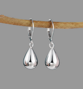 Silver drop earrings