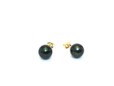 Black Tahitian pearl post earrings, 8mm - abigailheche
