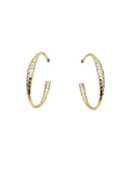 Scattered diamond hoop post earrings