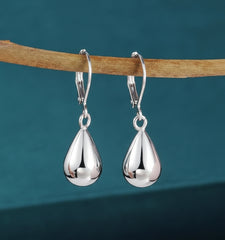 Silver drop earrings