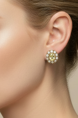 Royal 4 ctw Diamond cluster post earrings