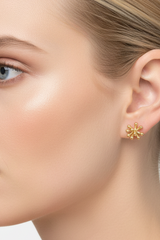 Snowflake ❄️ post earrings